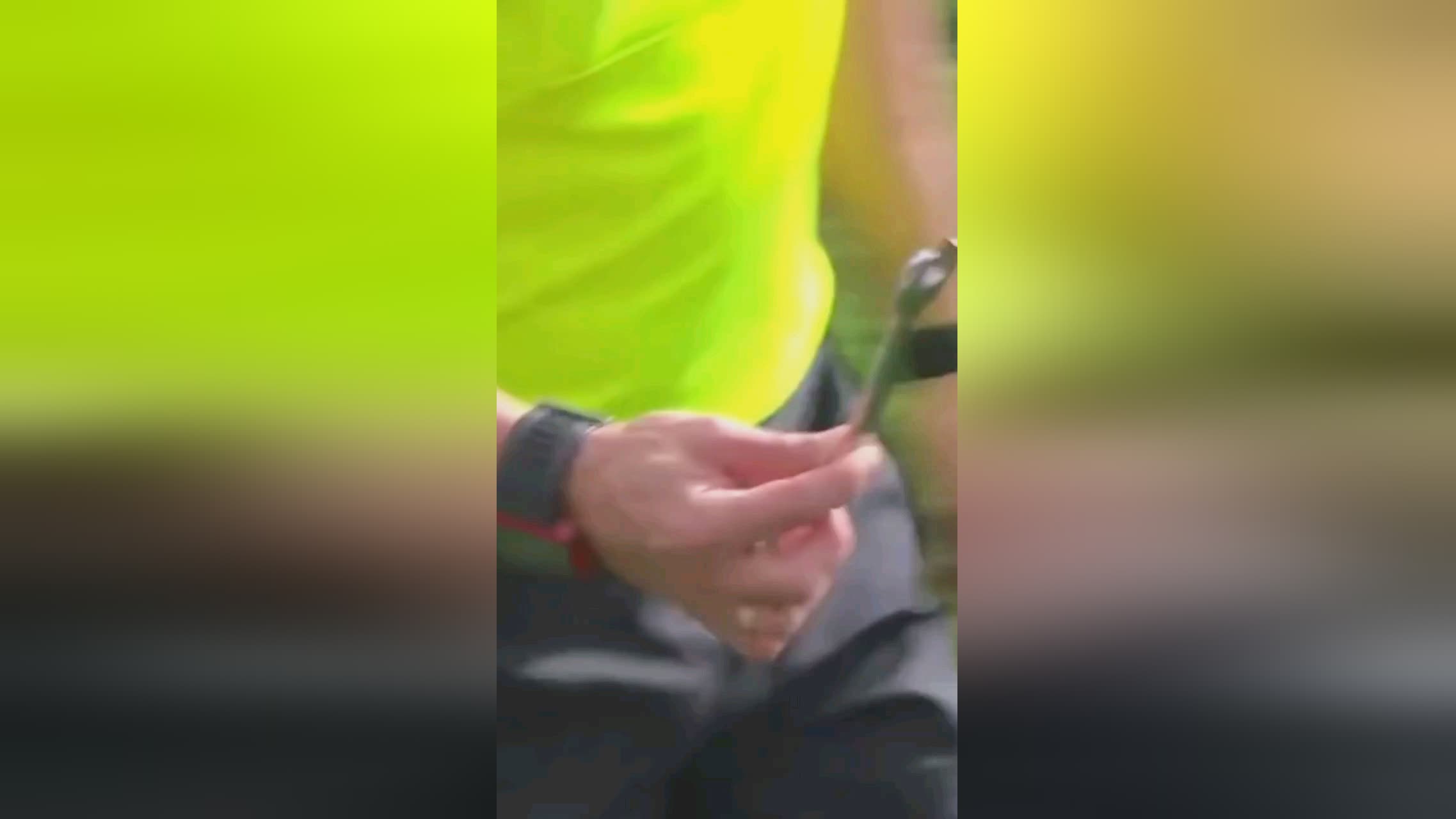能体