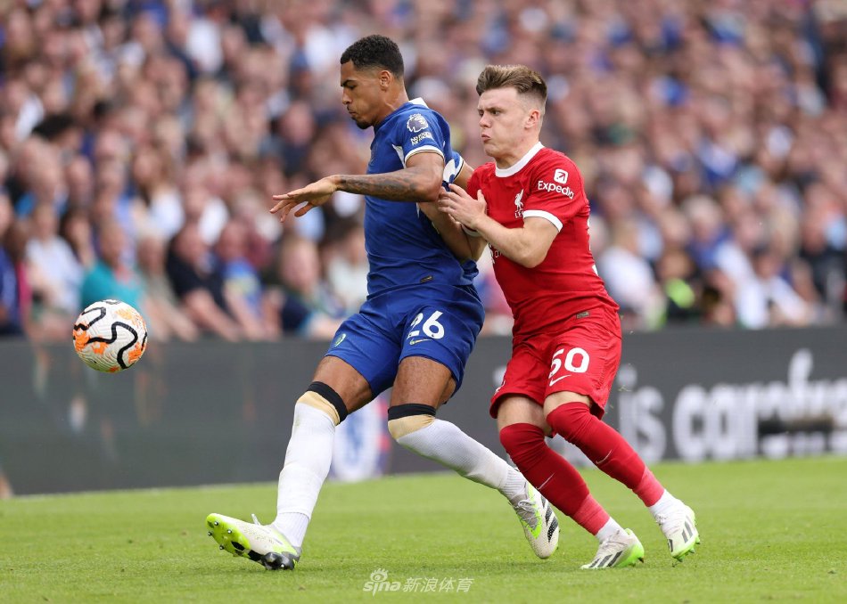 领头羊的失 领头羊的失